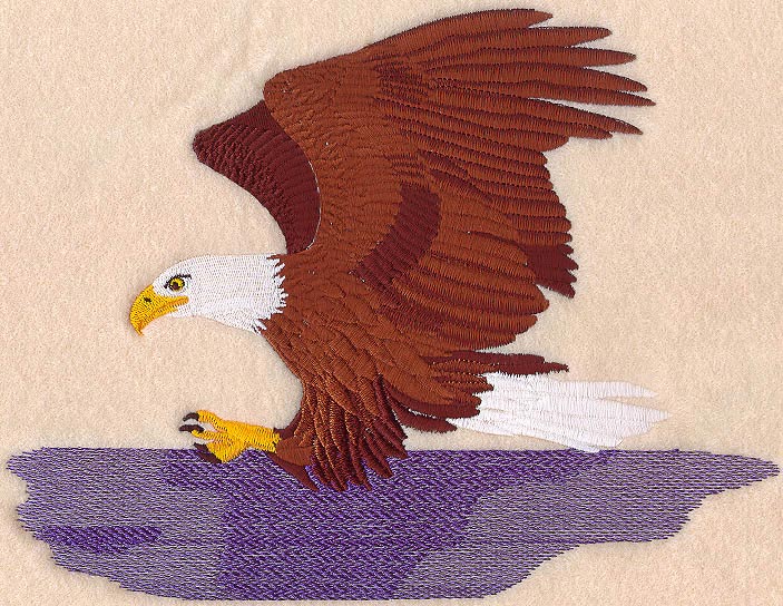 Eagle Over Water