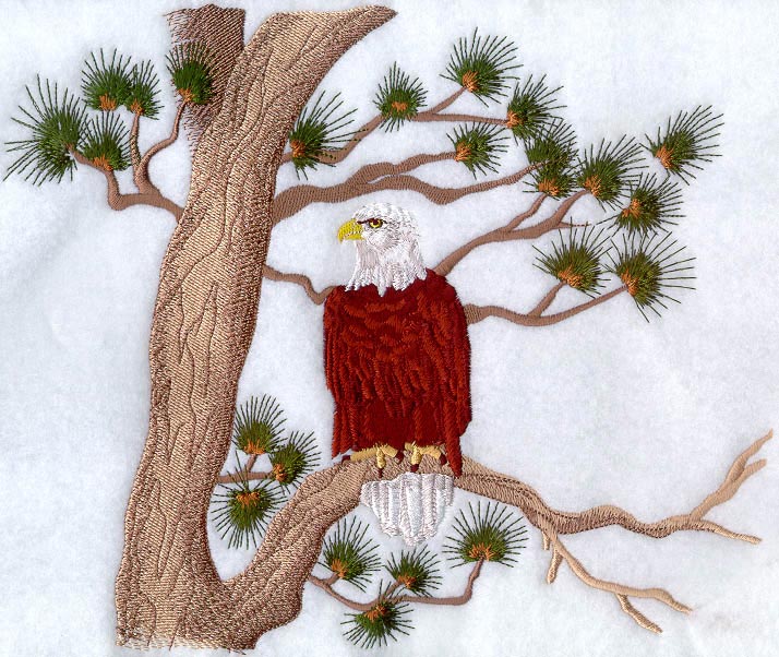 Eagle In Tree