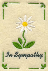 Sympathy Daisy