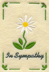 Sympathy Daisy