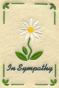 Sympathy Daisy