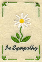 Sympathy Daisy