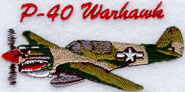 P-40 Warhawk Airplane