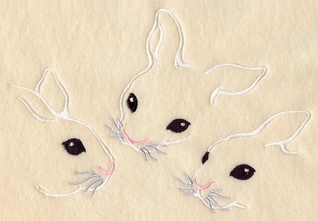 Rabbit Trio