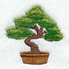 Tea Ceremony - Bonsai Tree