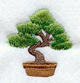 Tea Ceremony - Bonsai Tree
