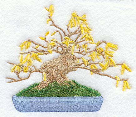 Flowering Bonsai Tree