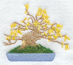Flowering Bonsai Tree