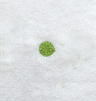 Victorian Period (3 Inch)