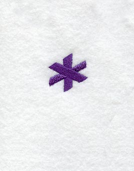 Viking Asterisk (3 Inch)