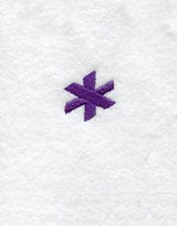 Viking Asterisk (3 Inch)