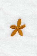 Cheshire Asterisk (3 Inch)