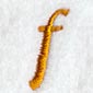 Cheshire Lower Case Letter f (3 Inch)