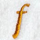 Cheshire Lower Case Letter f (3 Inch)