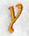 Cheshire Lower Case Letter y (3 Inch)