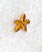 Cheshire Asterisk (3 Inch)