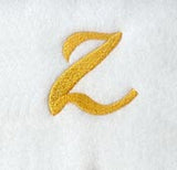 Curly Script Lower Case Letter z (3 Inch)