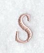 Dauphin Lower Case Letter s (3 Inch)