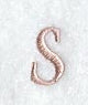 Dauphin Lower Case Letter s (3 Inch)