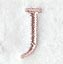 Dauphin Letter J (3 Inch)