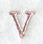 Dauphin Letter V (3 Inch)