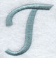 Flair Script Letter T (3 Inch)