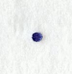 Schoolbook Period (3 Inch)