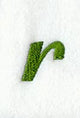 Royale Lower Case Letter r (3 Inch)