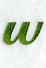 Royale Lower Case Letter w (3 Inch)