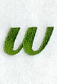 Royale Lower Case Letter w (3 Inch)