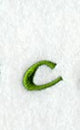 Royale Lower Case Letter c (3 Inch)