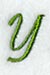 Royale Letter Y (3 Inch)