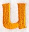 Goudy Sans Lower Case Letter u (3 Inch)