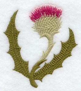Thistle (Thick Thread)