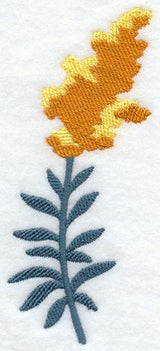 Goldenrod (Long-Stemmed) (Thick Thread)
