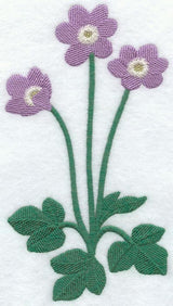 Hepatica (Long-Stemmed) (Thick Thread)