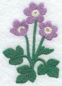 Hepatica (Thick Thread)