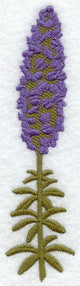 Lupine (Long-Stemmed) (Thick Thread)