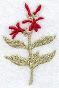Cardinal Flower (Thick Thread)