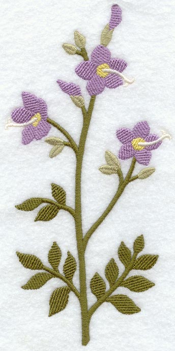 Jacob's Ladder (Long-Stemmed) (Thick Thread)