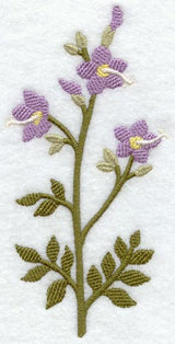 Jacob's Ladder (Long-Stemmed) (Thick Thread)