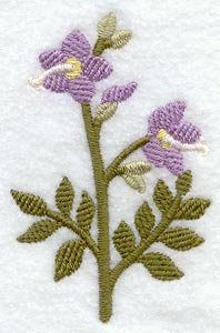 Jacob's Ladder (Thick Thread)