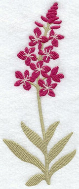 Fireweed (Long-Stemmed) (Thick Thread)