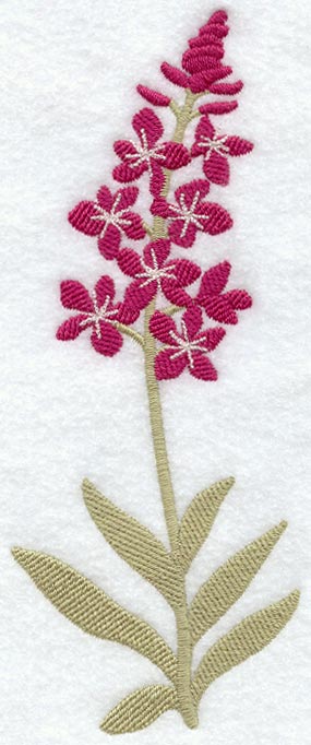 Fireweed (Long-Stemmed) (Thick Thread)