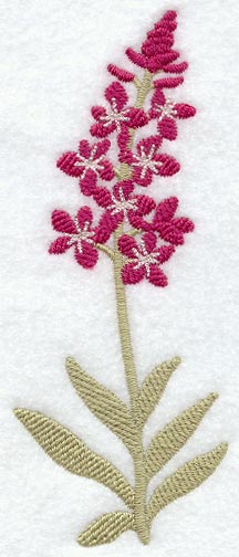 Fireweed (Long-Stemmed) (Thick Thread)