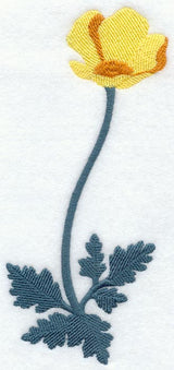California Poppy (Long-Stemmed) (Thick Thread)