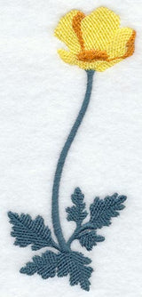 California Poppy (Long-Stemmed) (Thick Thread)