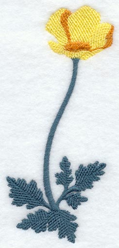 California Poppy (Long-Stemmed) (Thick Thread)