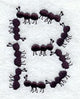 Ant Letter B (3 inch)
