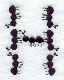 Ant Letter H (3 inch)
